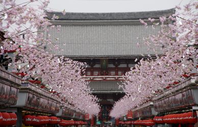 Al tempio di Senso-ji, sfidando la sorte