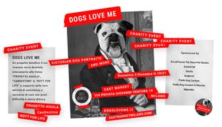 Dogs Love Me: solidarietà per i nostri amici a quattro zampe