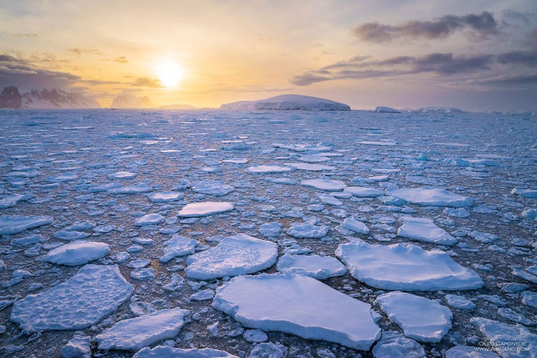 Antartide: una terra estrema ma meravigliosa - immagine 5