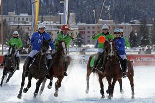 Snow polo world cup 2015: è sfida a St. Moritz