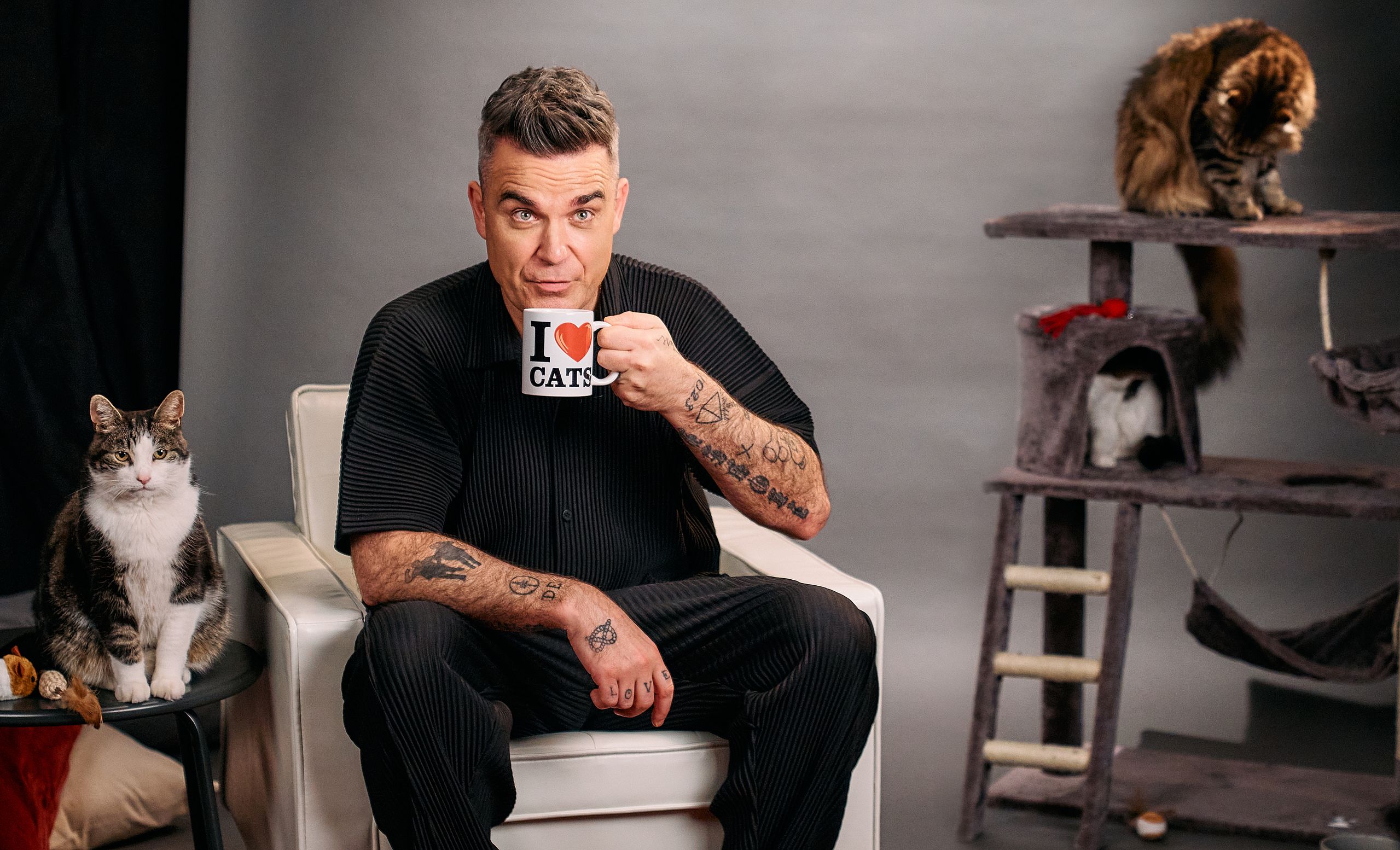 &#8220;Và che gattone&#8221; Robbie Williams! Nuovo jingle da popstar e video bocconcino da guardare su Style- immagine 2