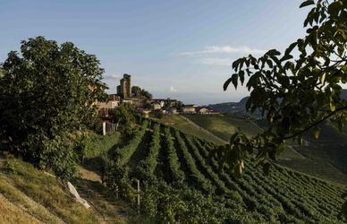 Langhe: un tour alla scoperta di vini, tartufi e altri tesori nascosti