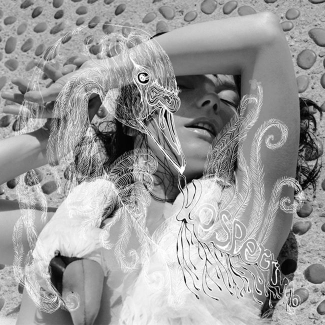 Björk e la sua arte in mostra al MoMA di New York - immagine 2
