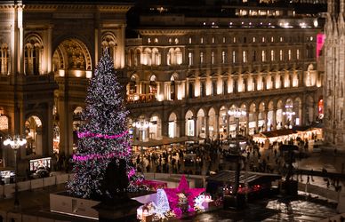Milano capitale degli Alberi di Natale Beauty