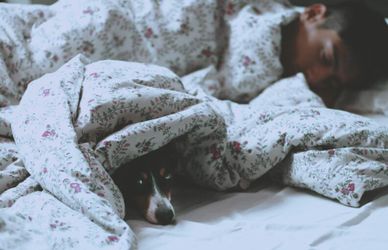 Posizioni per dormire: hai scelto la migliore per la tua salute?
