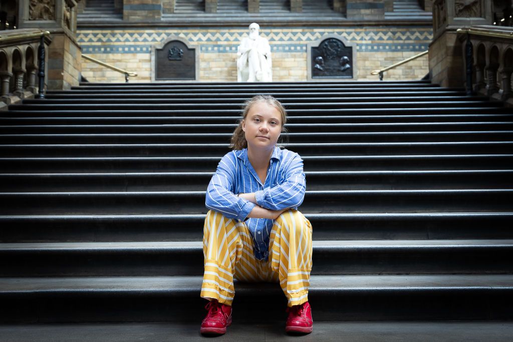 I 20 anni di Greta Thunberg, tra surriscaldamento globale e bulli misogini - immagine 10