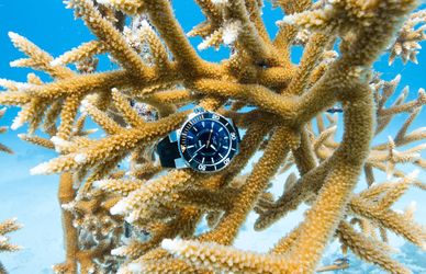 È ora di salvare i coralli! Con l’Oris Staghorn Restoration Limited Edition