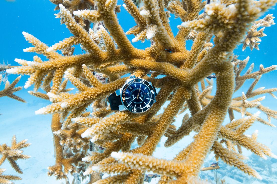 È ora di salvare i coralli! Con l’Oris Staghorn Restoration Limited Edition- immagine 2