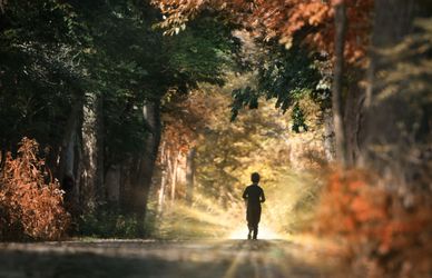 San Francesco onomastico, le frasi più belle di auguri