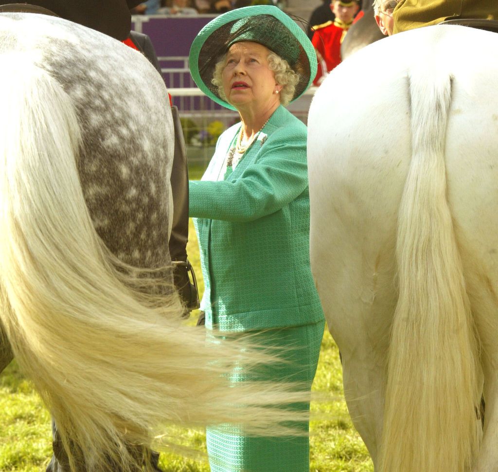 Tutti i colori di Queen Elizabeth - immagine 10