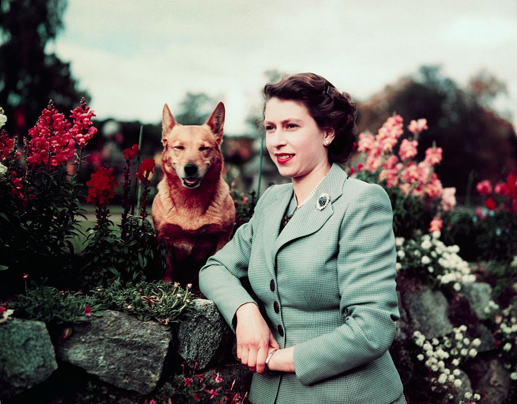 Tutti i colori di Queen Elizabeth - immagine 2
