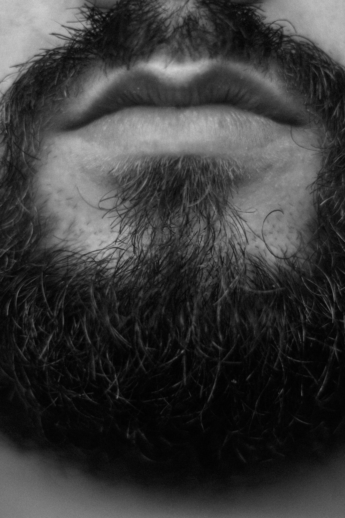 Barba lunga e folta? I consigli dell’esperto per farla crescere velocemente- immagine 4