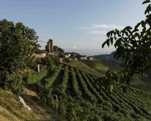 Langhe: un tour alla scoperta di vini, tartufi e altri tesori nascosti