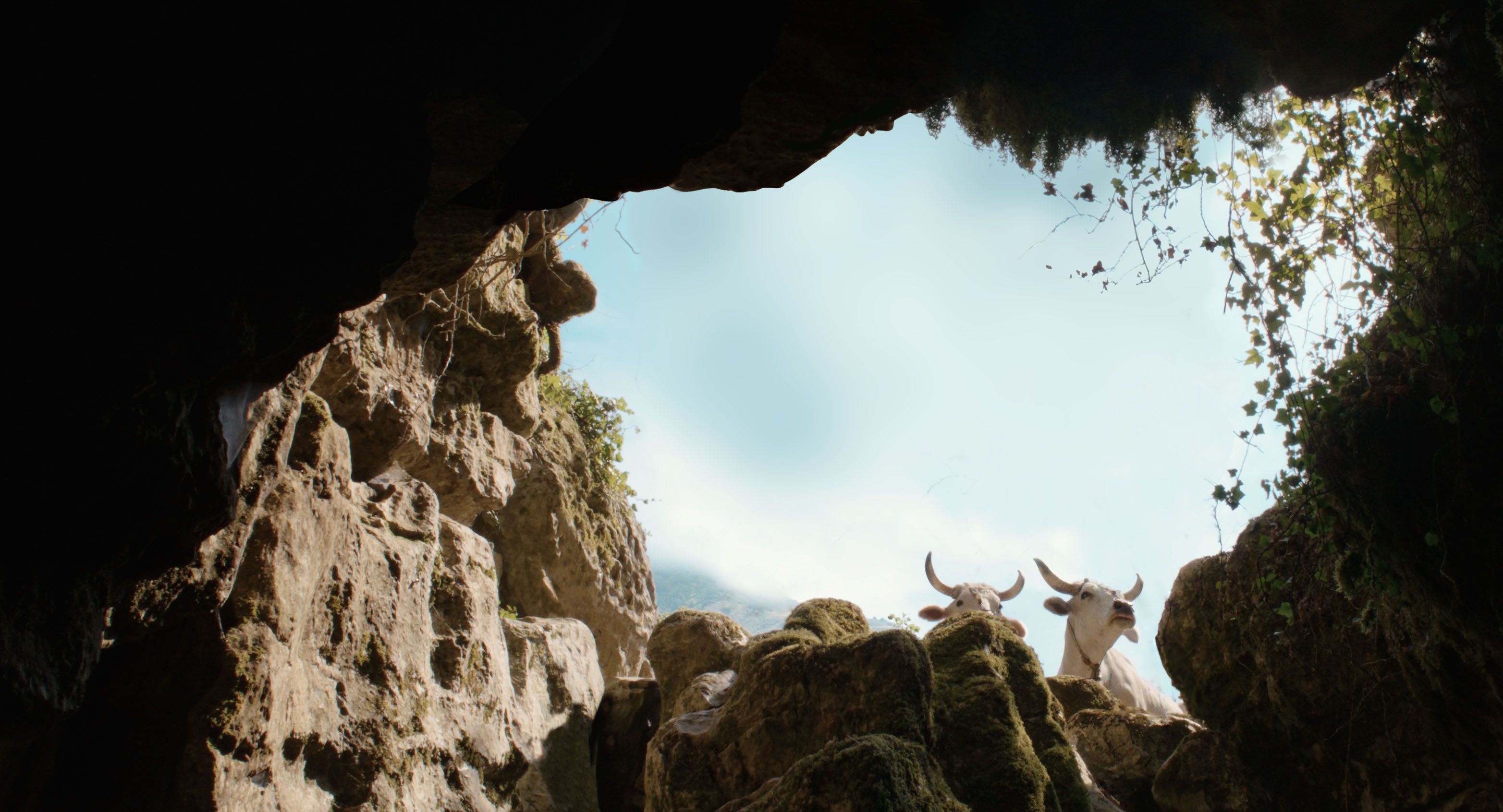Alla scoperta dell&#8217;Abisso del Bifurto, la grotta profonda 683 metri - immagine 9