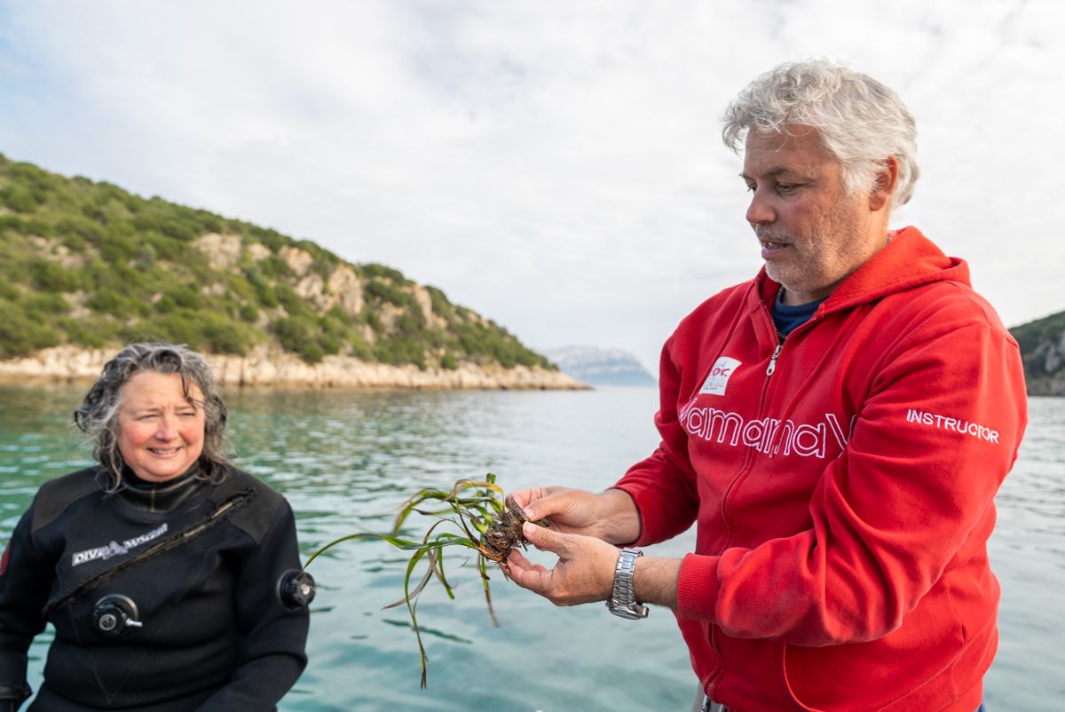 In Sardegna, si «riforesta» il mare con la Posidonia - immagine 3