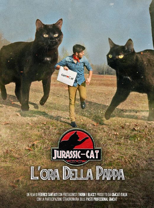 Da Isotta Catfluencer a Gatto Morto: le star feline del web - immagine 4