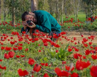 Come fotografare i fiori con lo smartphone
