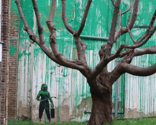 Un nuovo Banksy a Londra: il video dell’albero-effetto ottico apparso il giorno di San Patrizio