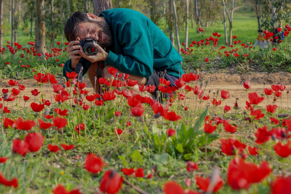 Come fotografare i fiori con lo smartphone- immagine 2