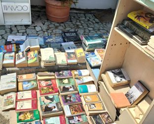 Solidarietà e resilienza: l’esempio della Libreria Alfa Beta di Lugo colpita dall’alluvione