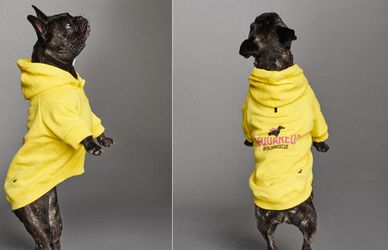 Dsquared2 e Poldo Dog Couture insieme per i salvare i cani in difficoltà