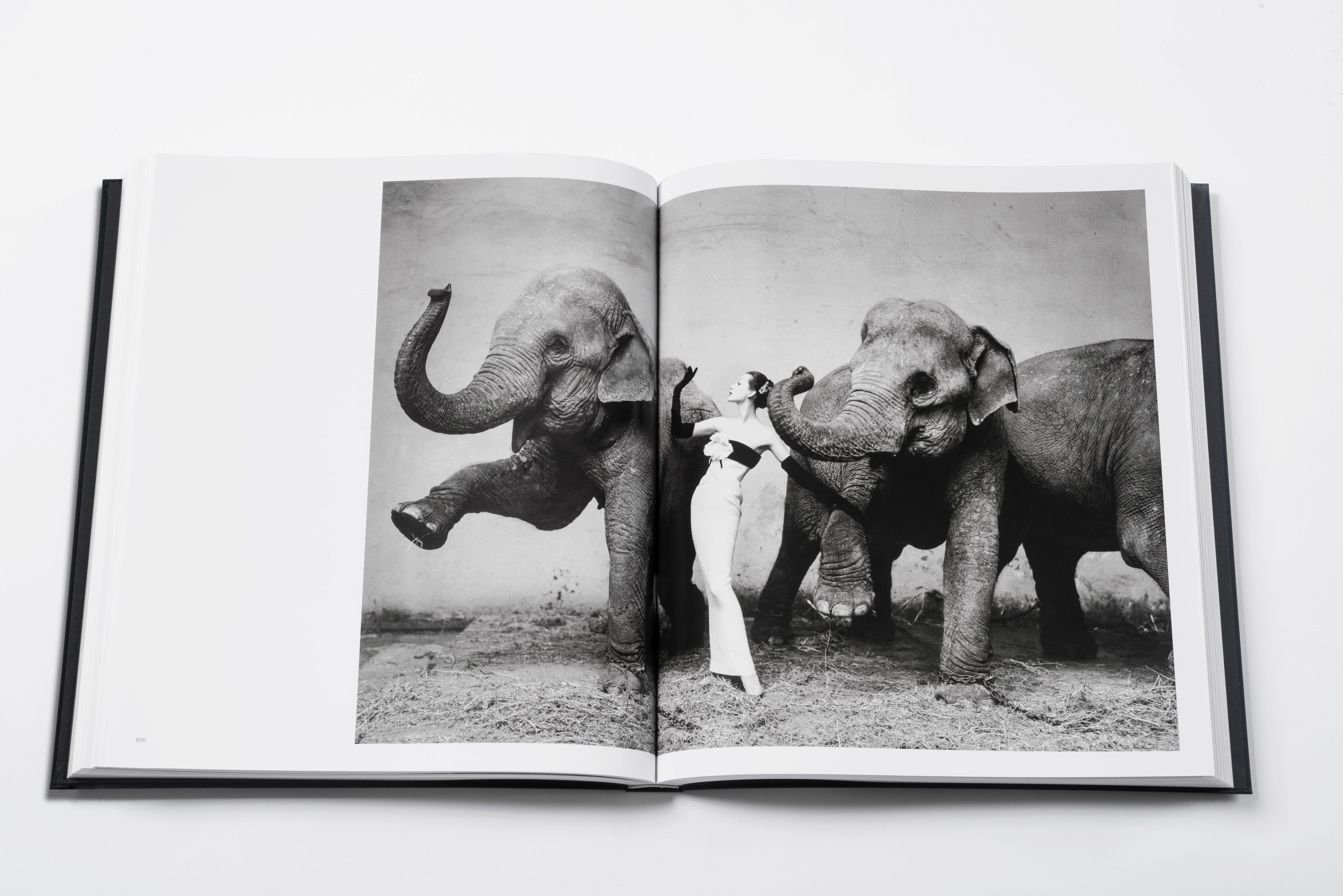 La modella Dovima fotografata con gli elefanti al Cinque d'Hives, 1955. Dal libro Dior by Avedon (Rizzoli)
