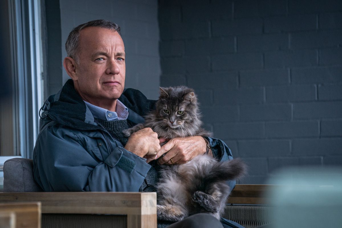 Tom Hanks per la prima volta insieme al figlio in Non così vicino- immagine 2