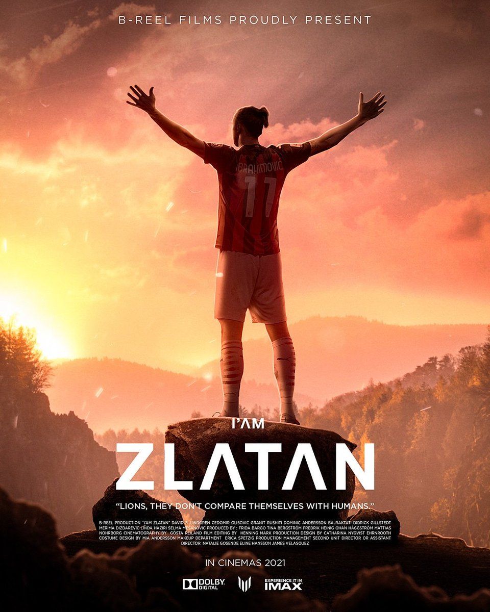10 curiosità e segreti su Zlatan Ibrahimovic - immagine 12