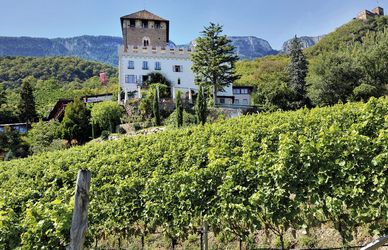 I Vinum Hotels in Alto Adige, dove rilassarsi e godere del buon vino