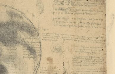 Il Codice Leicester torna a Firenze per i 500 anni di Leonardo