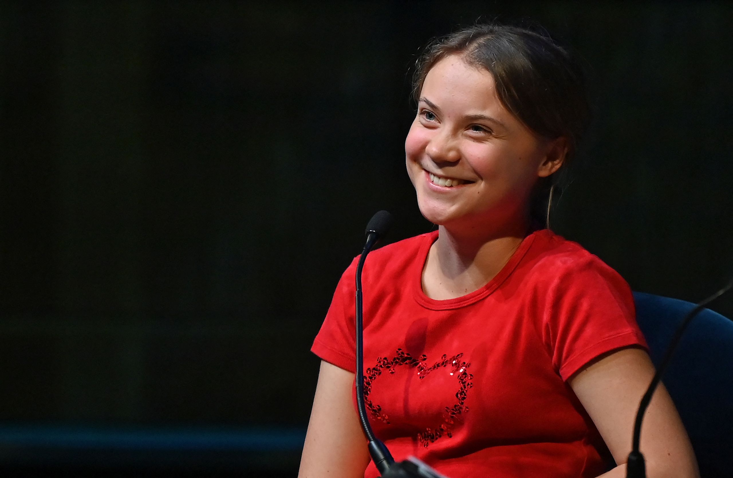 I 20 anni di Greta Thunberg, tra surriscaldamento globale e bulli misogini - immagine 2