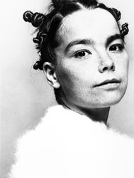 Björk e la sua arte in mostra al MoMA di New York