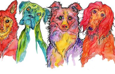 Dogs Love Me: solidarietà a quattro zampe