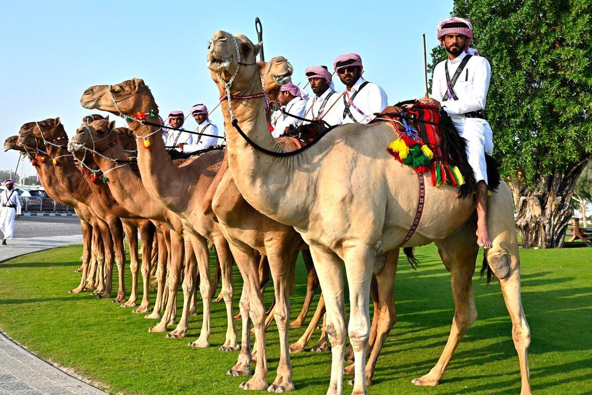 mondiali 2022 qatar poliziotti sui cammelli