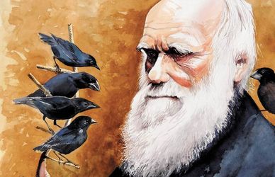 Darwin Day 2021, le frasi più note dello scienziato britannico