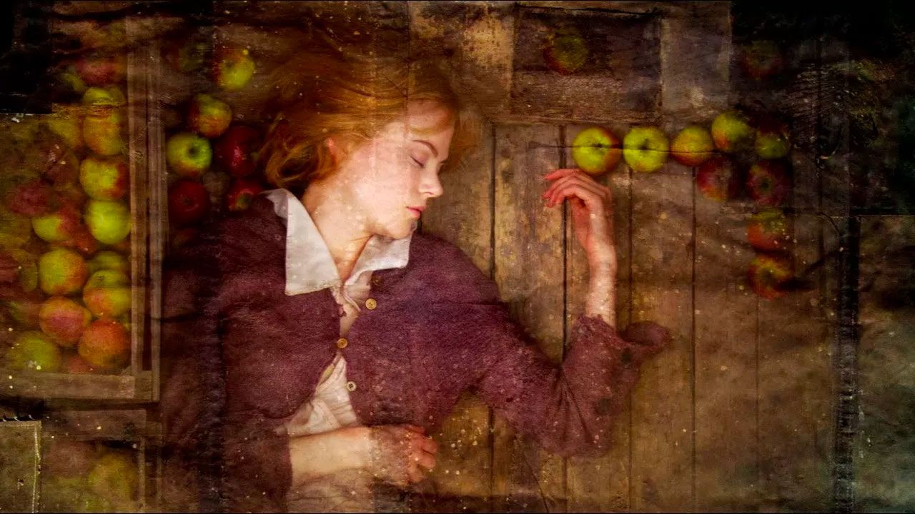 Lars von Trier's dogville