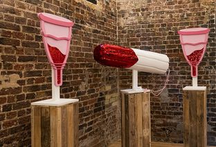 Vagina Museum: a Londra il primo museo dedicato alla femminilità
