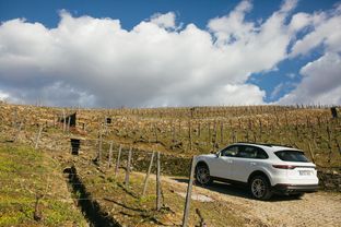 La nuova Porsche Cayenne sulle strade del Portogallo