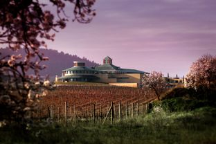 I musei del vino più sorprendenti del mondo