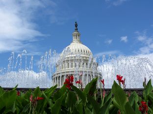 A Washington, tra natura, cultura, politica ed economia